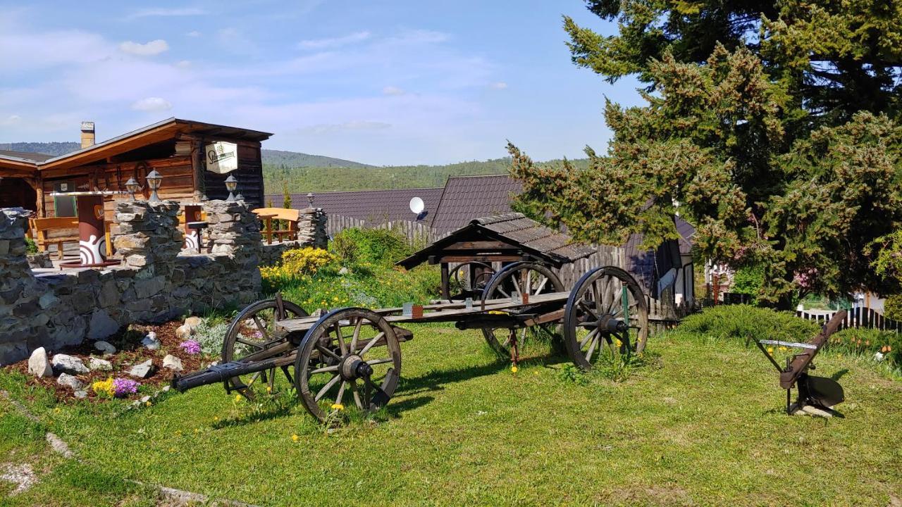Pod Hradom Restaurant & Pension Topolcany Luaran gambar